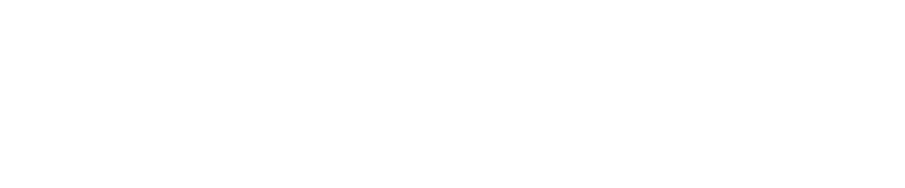 Käfer